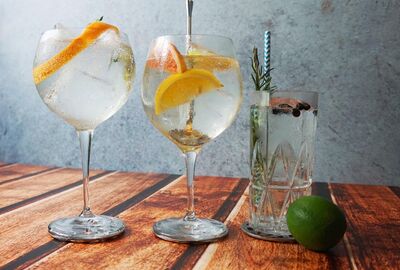 Dit zijn de 10 populairste gins van 2025