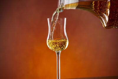 Grappa Starter Guide
