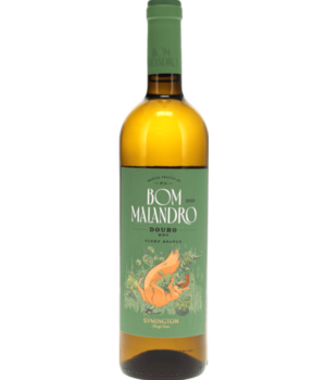 Bom Malandro White 2023