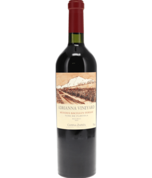 Catena Zapata Adrianna Vineyard Mundus Bacillus Terrae Malbec 2019