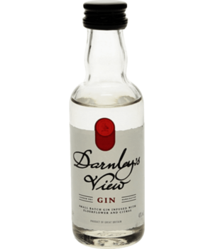 Darnley's Gin Mini