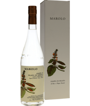 Marolo Pigato Parodi