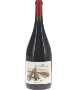 Terrazas De Los Andes Reserva Malbec 2020 Magnum (1,5l)