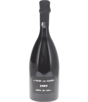 Thienot La Vigne Aux Gamins 2009