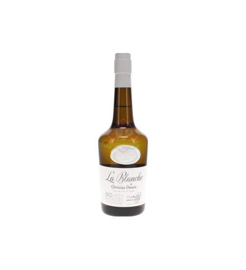 Blanche De Normandie Drouin
