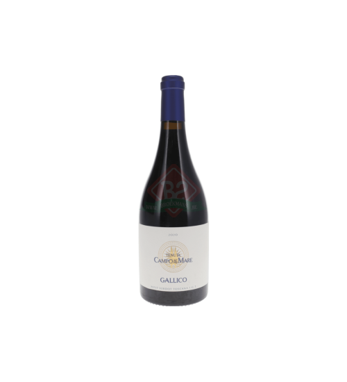 Campo Al Mare Petit Verdot 2020