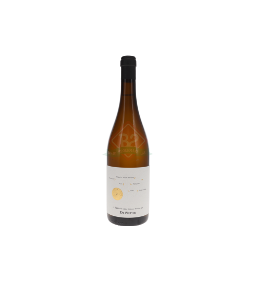 Di Sipio Colline Teatine Bianco 2025