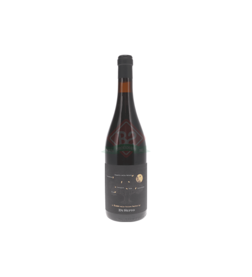 Di Sipio Colline Teatine Rosso 2025
