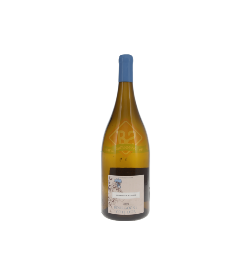 Domaine Charlopin Tissier Bourgogne Cote D'Or 2019 Blanc Magnum (1,5l)