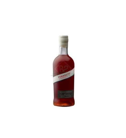 Foragers Sloe Gin Sd