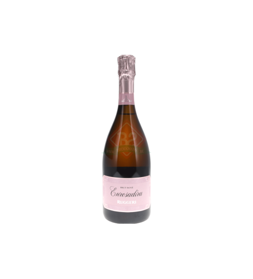 Ruggeri Enrosadira Rose Di Pinot