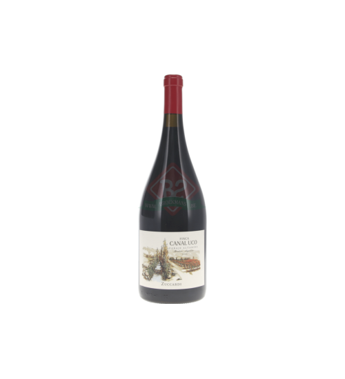 Terrazas De Los Andes Reserva Malbec 2020 Magnum (1,5l)
