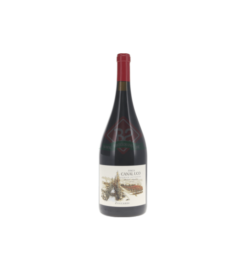 Terrazas De Los Andes Reserva Malbec 2020 Magnum (1,5l)