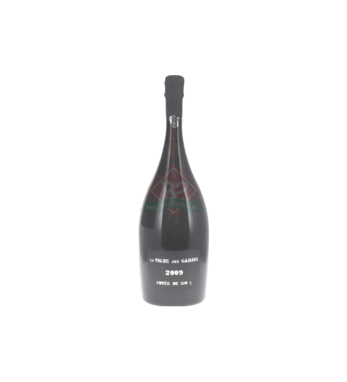 Thienot La Vigne Aux Gamins 2009 Magnum (1,5l)