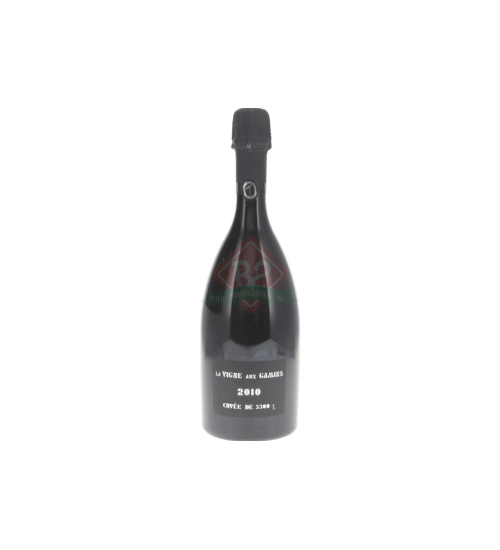 Thienot La Vigne Aux Gamins 2010