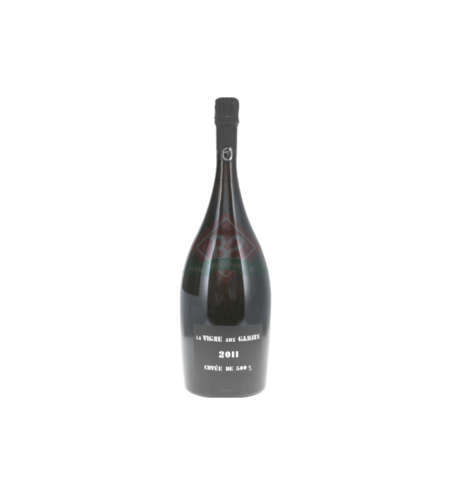 Thienot La Vigne Aux Gamins 2011 Magnum (1,5l)