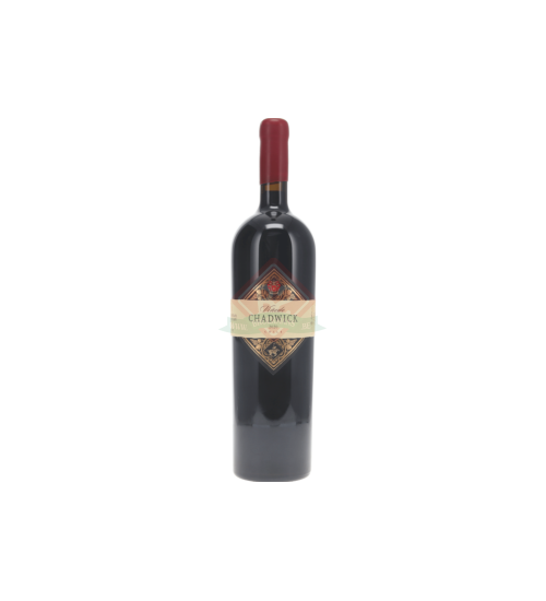 Vinedo Chadwick 2019 Magnum (1,5l)