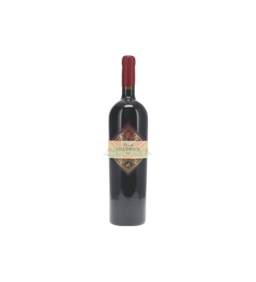 Vinedo Chadwick 2019 Magnum (1,5l)