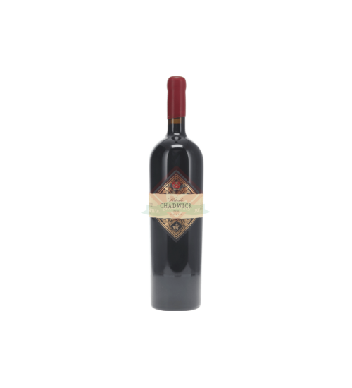 Vinedo Chadwick 2020 Magnum (1,5l)